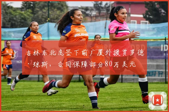 吉林东北虎签下前广厦外援贾罗德·琼斯，合同保障部分80万美元